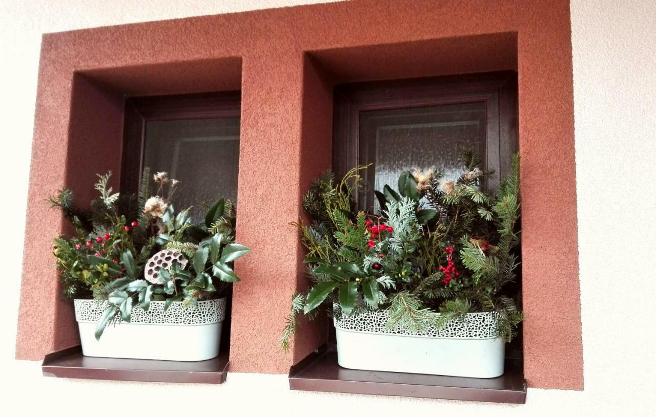 Privat Kovacova Villa Ziar Ngoại thất bức ảnh