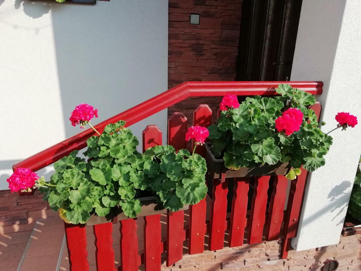 Privat Kovacova Villa Ziar Ngoại thất bức ảnh