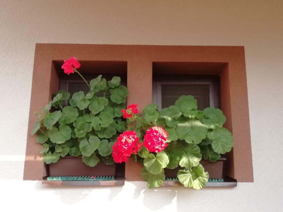 Privat Kovacova Villa Ziar Ngoại thất bức ảnh